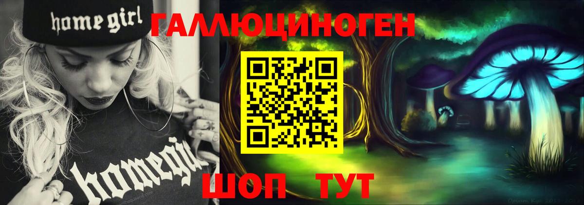 Псилоцибиновые грибы Psilocybe Сухой Лог