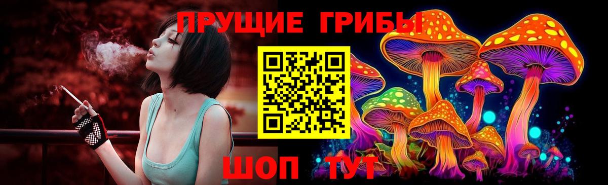 Сухой Лог  Галлюциногенные грибы Psilocybe  Вход с VPN  Псилоцибиновые грибы ЛСД 